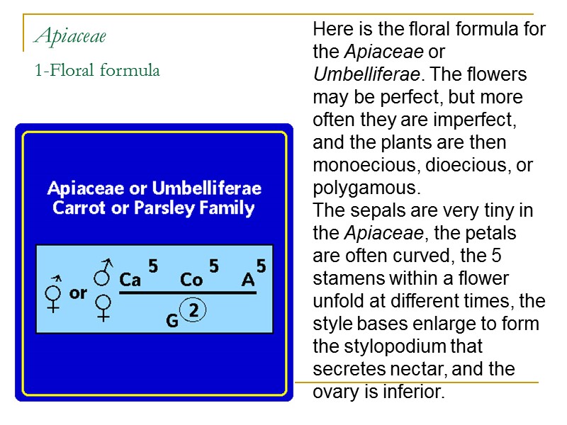 Apiaceae 1-Floral formula  Here is the floral formula for the Apiaceae or Umbelliferae.
